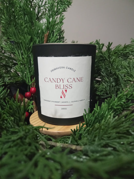 Candy Cane Bliss Candle | Peppermint & Vanilla Holiday Scented Candle