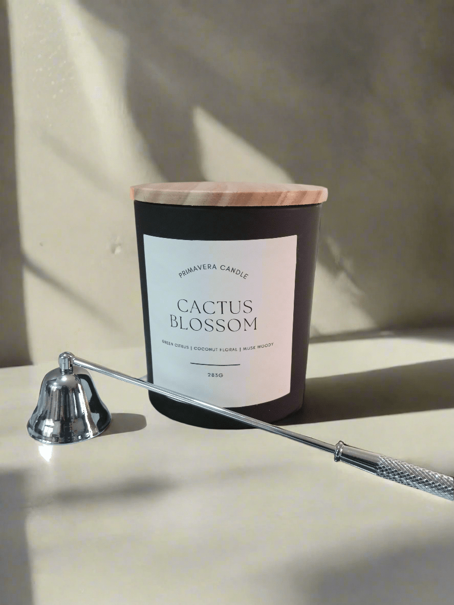 Cactus Blossom Candle | Green Cactus, Citrus & Coconut Scented Candle