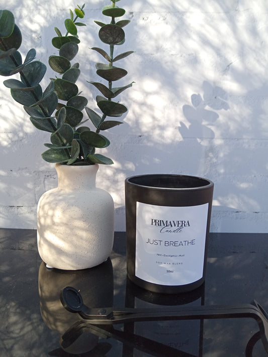 Just Breathe Candle | Mint, Eucalyptus &Musk