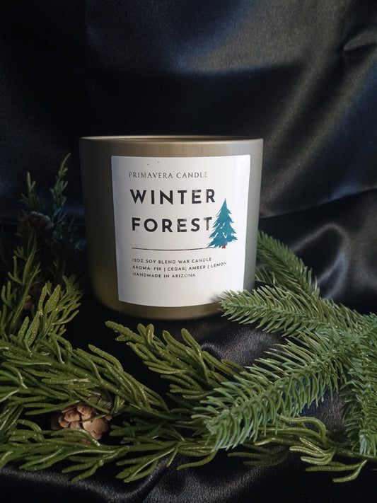 Winter Forest Candle | Luxurious Fir & Cedar Blend for a Cozy Holiday Wonderland